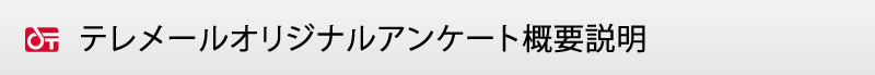 テレメールオリジナルアンケート概要説明