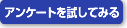 アンケートを試してみる