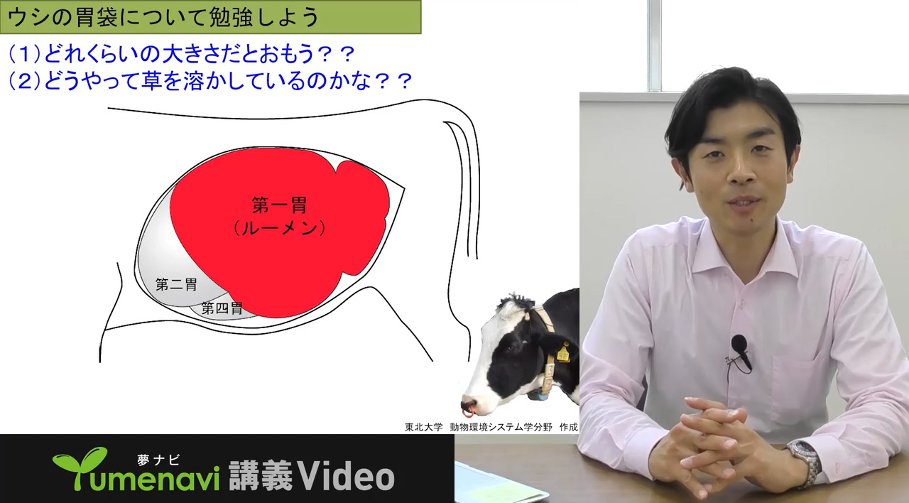 公の場での発言・インタビュー報道記録